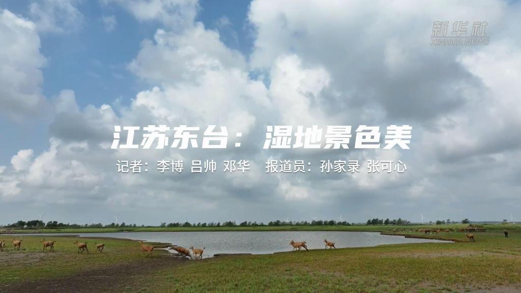 國道之行 海闊天空丨江蘇東臺：濕地景色美